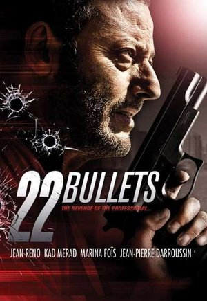 22 Bullets