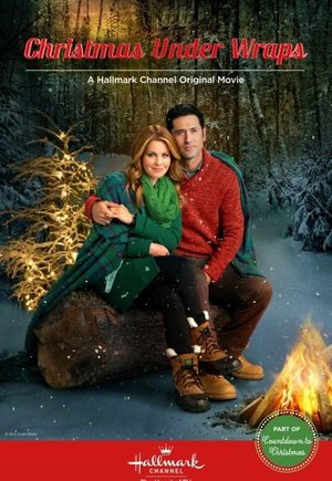 Christmas Under Wraps