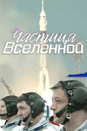 A Shard of the Universe