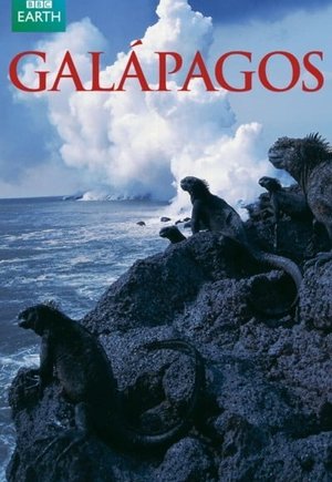 Galapagos