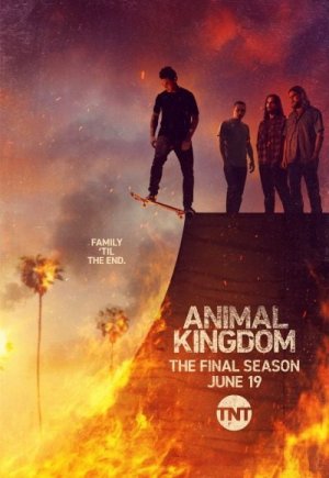 Animal Kingdom
