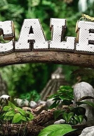Scaled