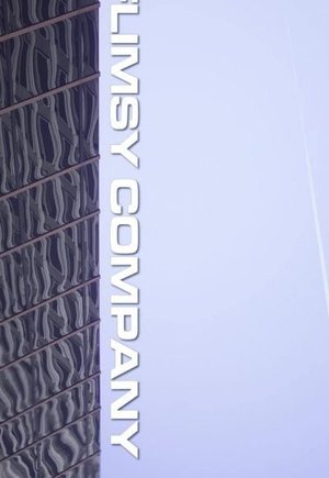 Flimsy Company