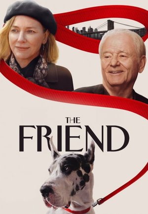 The Friend