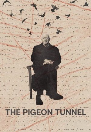 The Pigeon Tunnel