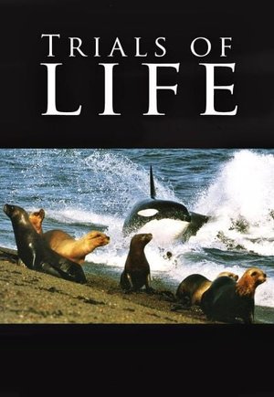 The Trials of Life