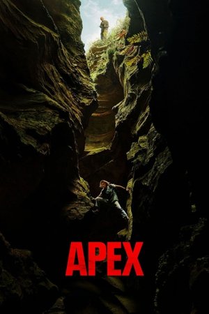 Apex