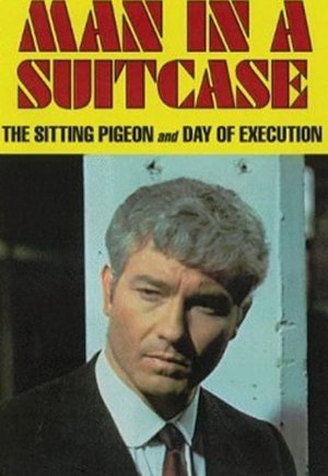 Man in a Suitcase
