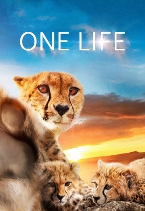 One Life