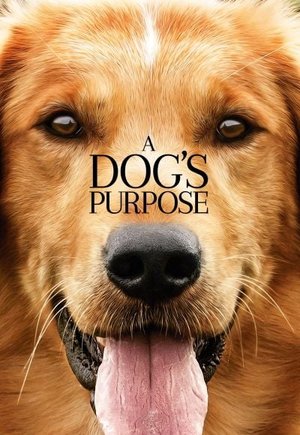 A Dog's Purpose