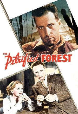 The Petrified Forest